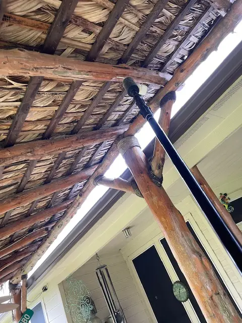 Carpenter bee holes bored into exterior timber
