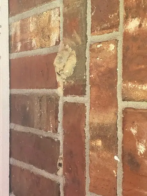 Mud dauber nest under an exterior overhang