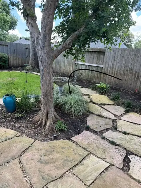 Garden with a tree and a stone path where a bumble bee nest sat in the ground in Katy, TX