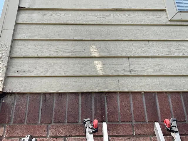 Bee and wasp removal work, photo 19