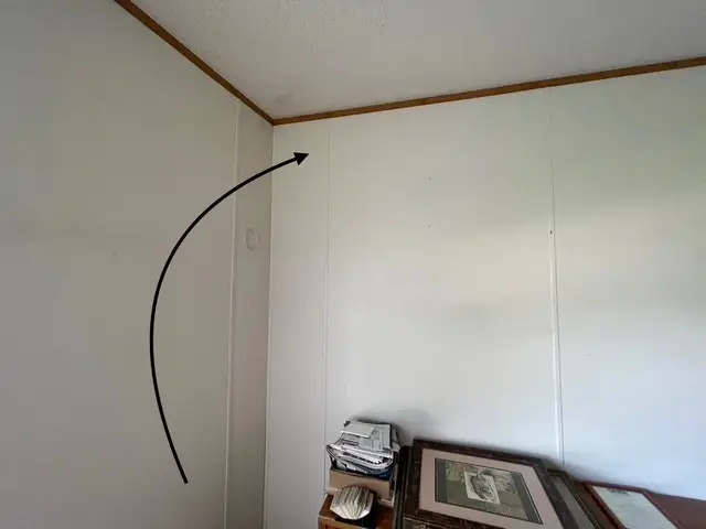 Bee and wasp removal work, photo 20
