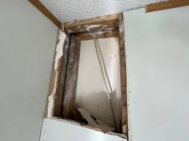 Bee and wasp removal work, photo 24