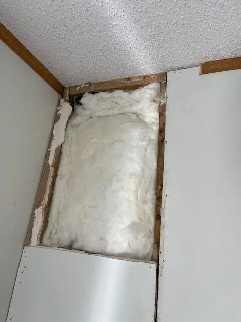 Bee and wasp removal work, photo 10