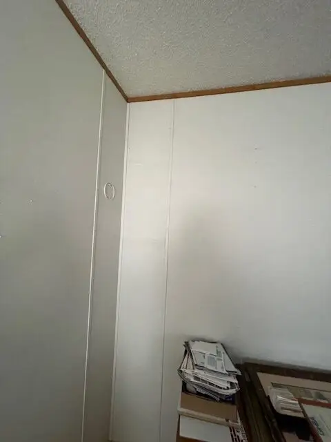 Bee and wasp removal work, photo 9