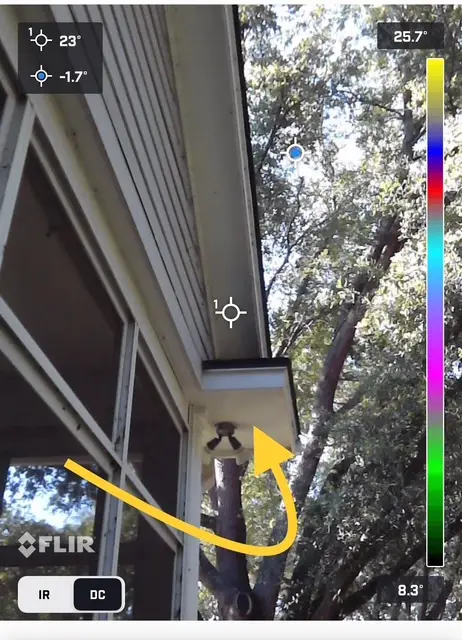 Bee and wasp removal work, photo 16