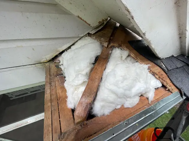 Bee and wasp removal work, photo 8