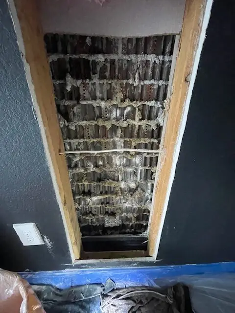 Bee and wasp removal work, photo 5