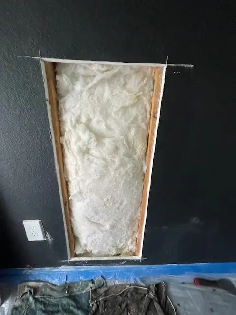 Honey bee comb removed from a wall cavity