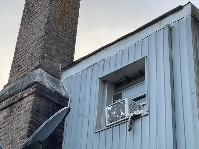 Bee and wasp removal work, photo 11