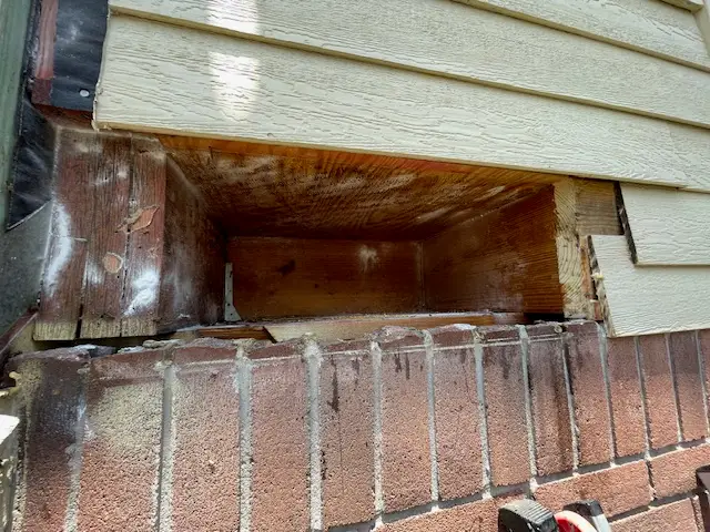 Bee and wasp removal work, photo 14