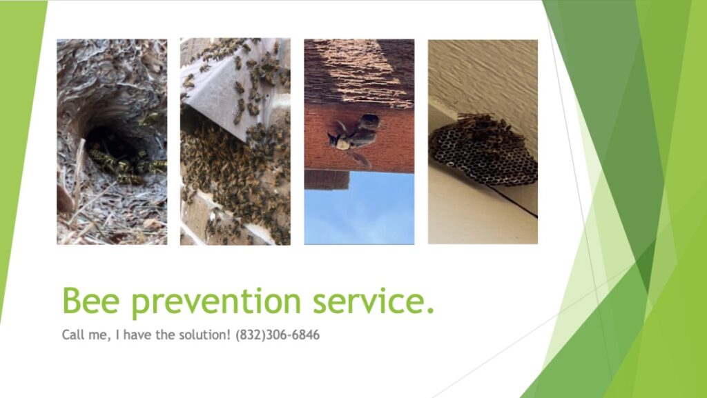 Eco-friendly bee prevention services