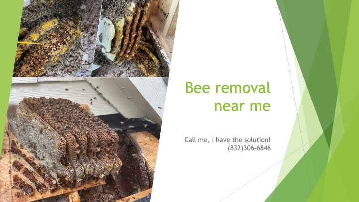 Bee removal near me or bee removal in Fulshear, TX