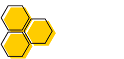 Raul The bee Guy - Bee Removal Services